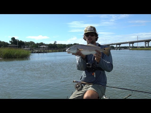 Lowcountry Redfish, Montauk Stripers and More in Tail Fly Fishing