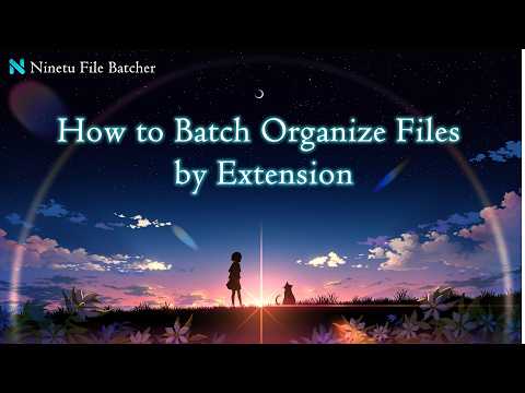 How to Batch Organize Files by Extension | Ninetu File Batcher