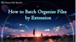 How to Batch Organize Files by Extension | Ninetu File Batcher