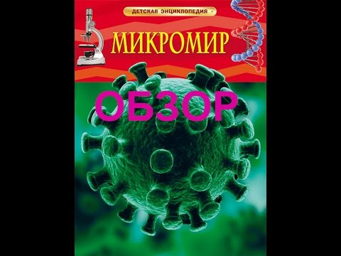 Обзор книги Микромир