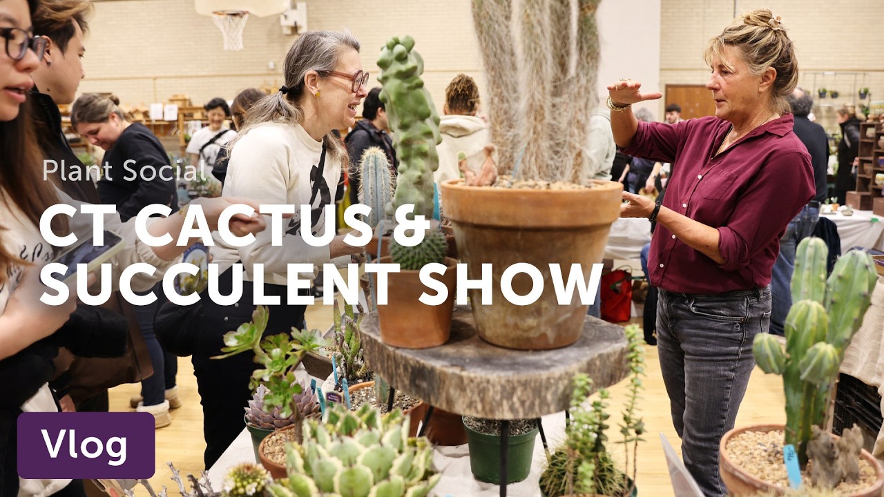 Connecticut CACTUS & SUCCULENT Show — Vlog 062