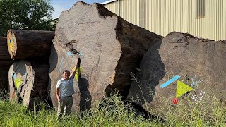 World's Largest Tree // Wood Cutting Skills At The Factory