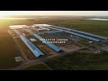 Proyecto Lácteo Adecoagro