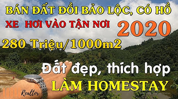 Bán 1.6 ha đất vườn Bảo Lộc giá rẻ 280tr/sào, có hồ đồi cực đẹp để làm homestay | Vương Nhà Đất