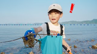 Fengfeng catch the sea funny stories for kids 枫枫，姐姐还有妈妈一起去赶海