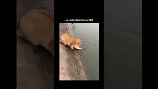 Hes A Highly Skilled Fisherman