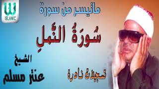 AlShaikh Antar Musalam - Soret Al Naml / الشيخ عنتر مسلم - سورة النمل