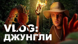 VLOG: пробираюсь в Джунгли, встречаю сколопендру, кормлю котов.