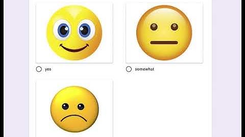 Student Survey Q2 T10-11