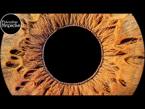 Irisfotografie | Das perfekte Augenfoto | Tutorial Deutsch