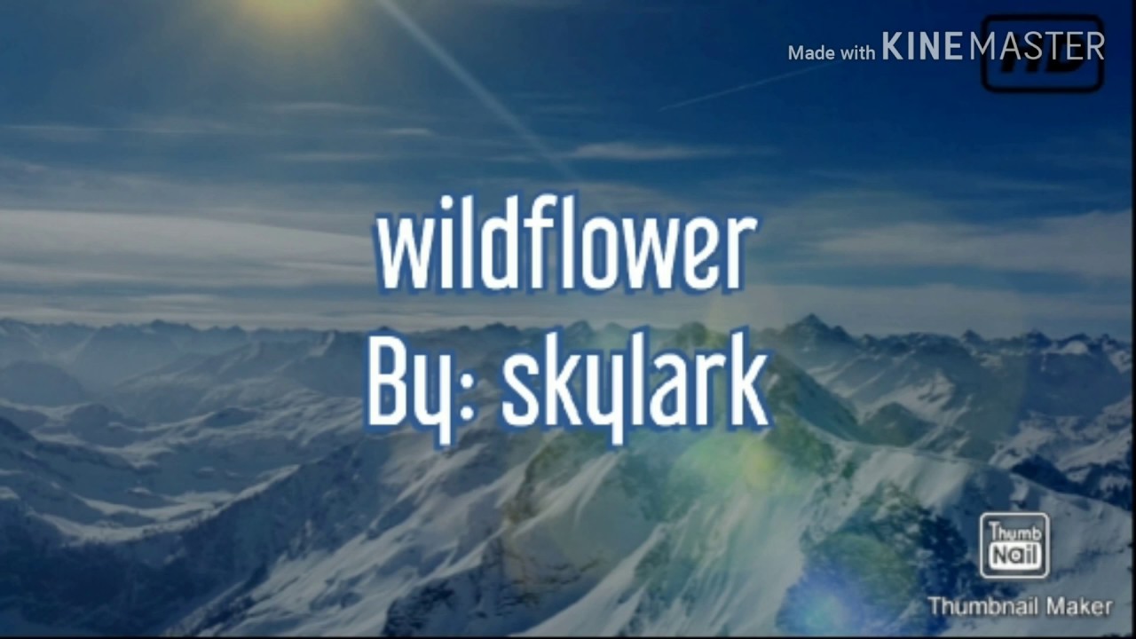 Wildflower By Skylark (Karaoke) YouTube