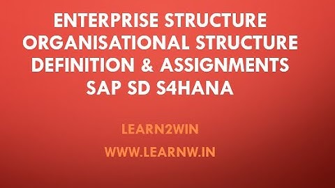 Enterprise Structure sap sd | organizational structure sap sd | org structure #learn2win #learntowin