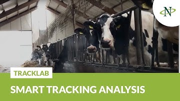 TrackLab - System for intelligent tracking analysis | Noldus