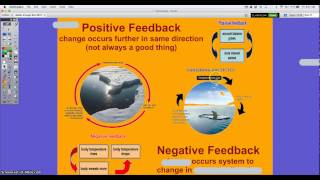Unit 3 Pt 2 Systems, Feedback Loops, and  Matter AP Environmental Science