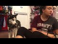 Service Dog Response Training (DPT) Service Dog Response Training (DPT)