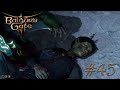 Baldur's Gate 3 4K #45 Питер Пэн