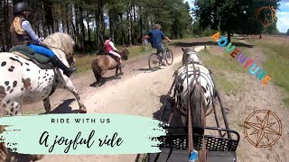 ✨😃J OYFUL RIDE WITH US 😃✨