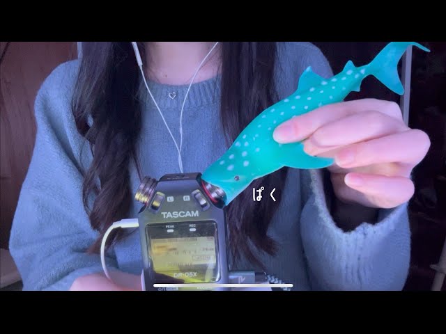 【ASMR】海の仲間たち
