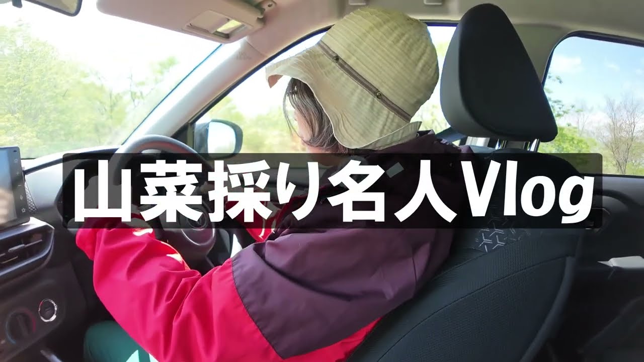 山菜採りの名人 ひろ子