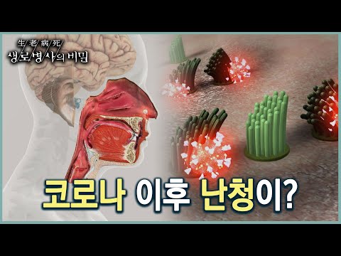코로나 감염 후 난청과 이명이 심해진다? (KBS 20220928 방송)