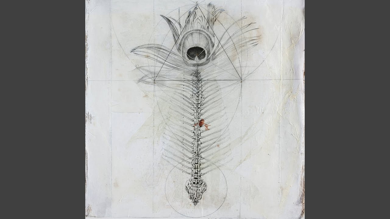 Watch Disambient on YouTube Watch Disambient on YouTube