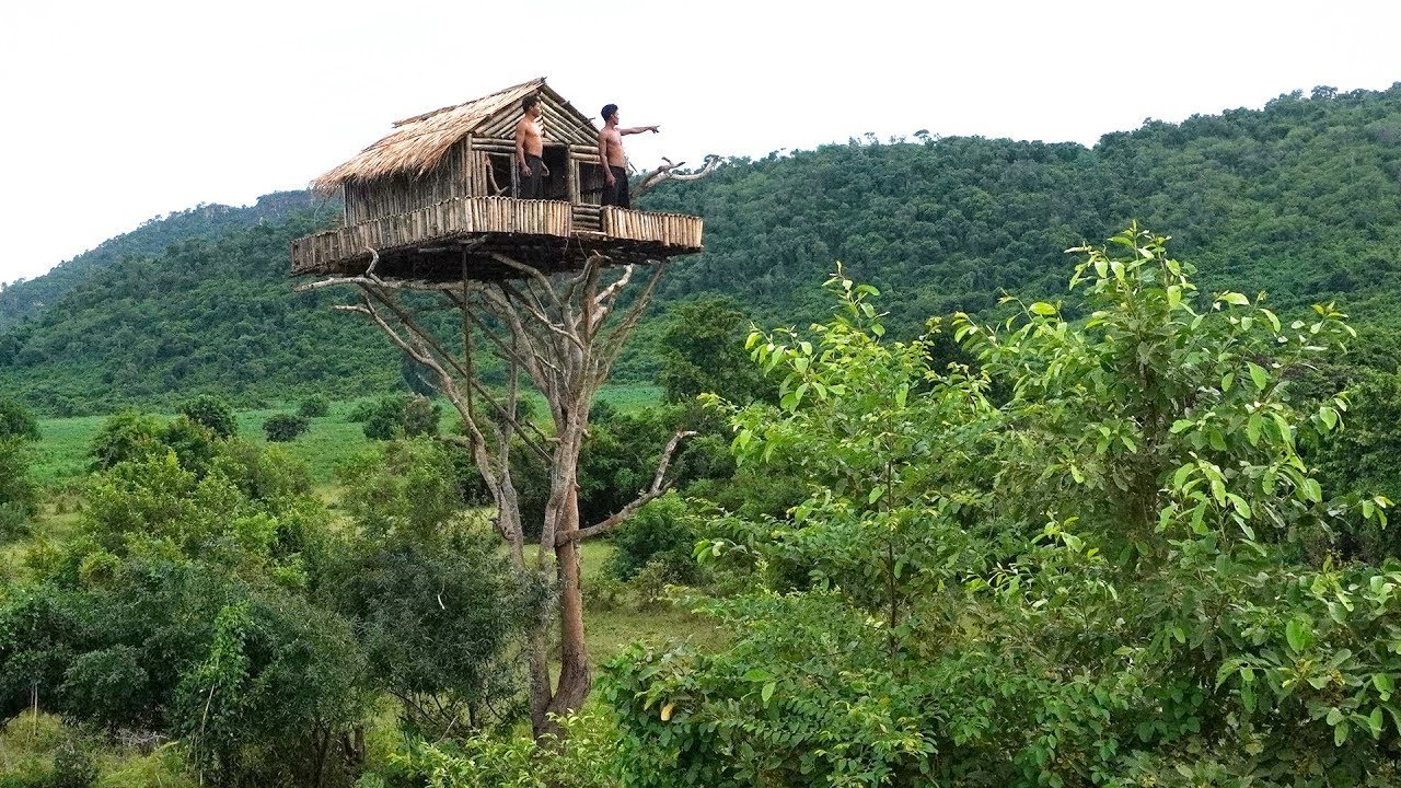 Surviving Alone in the Wild  Building a Bamboo Ladder to Reach High Trees