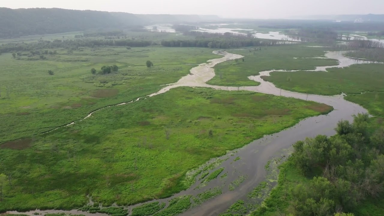 River Backwater Wetland Profile - Pool Slough