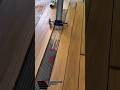 Genius Flooring Adhesive Tool You Must See! Perfect for Wood Floor Installation"
