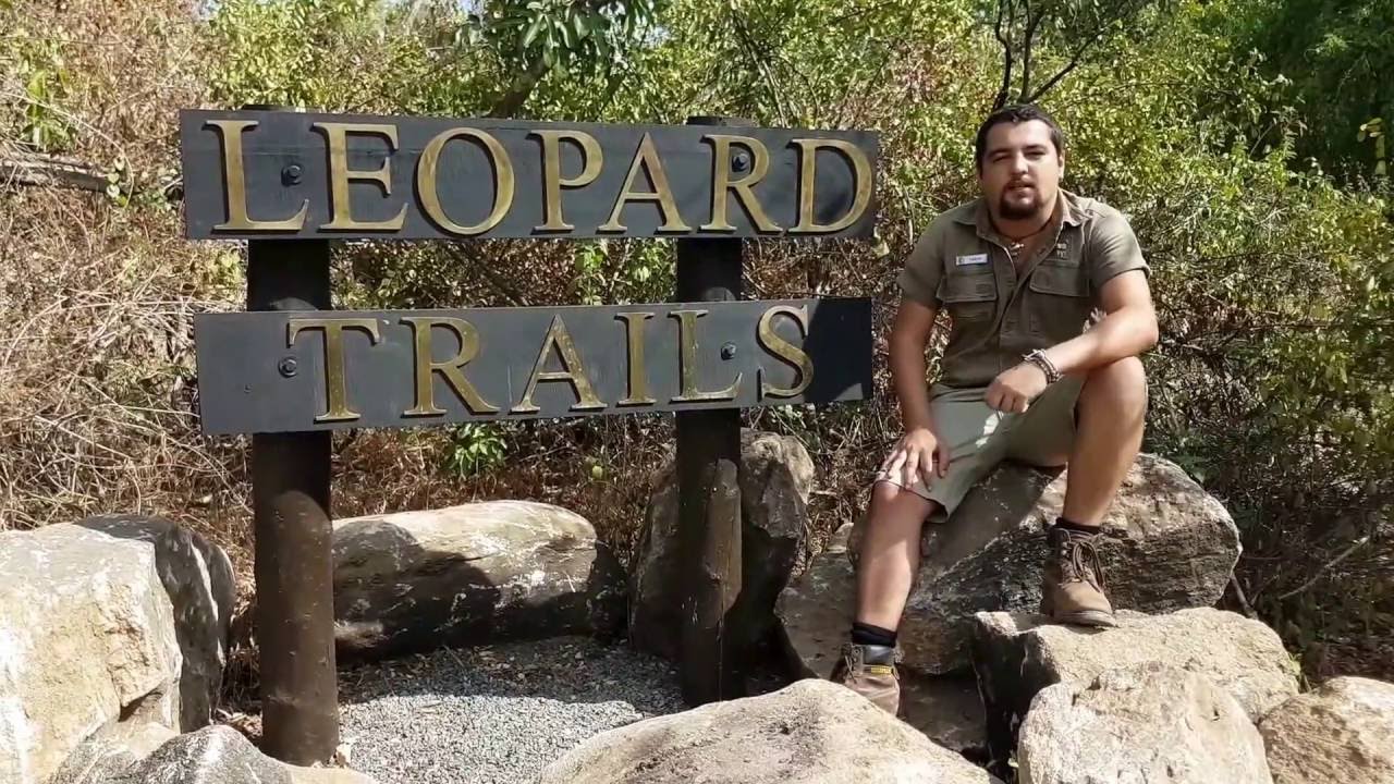 Nesting green bee eaters | Yala national park