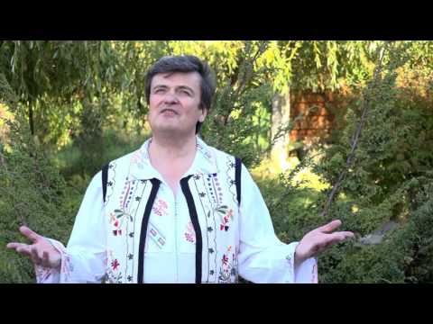 Scurte ne sunt zilele