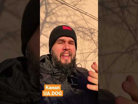 Почему так трудно поверить в то, что сухой корм не является подходящим питанием для ваших питомцев?