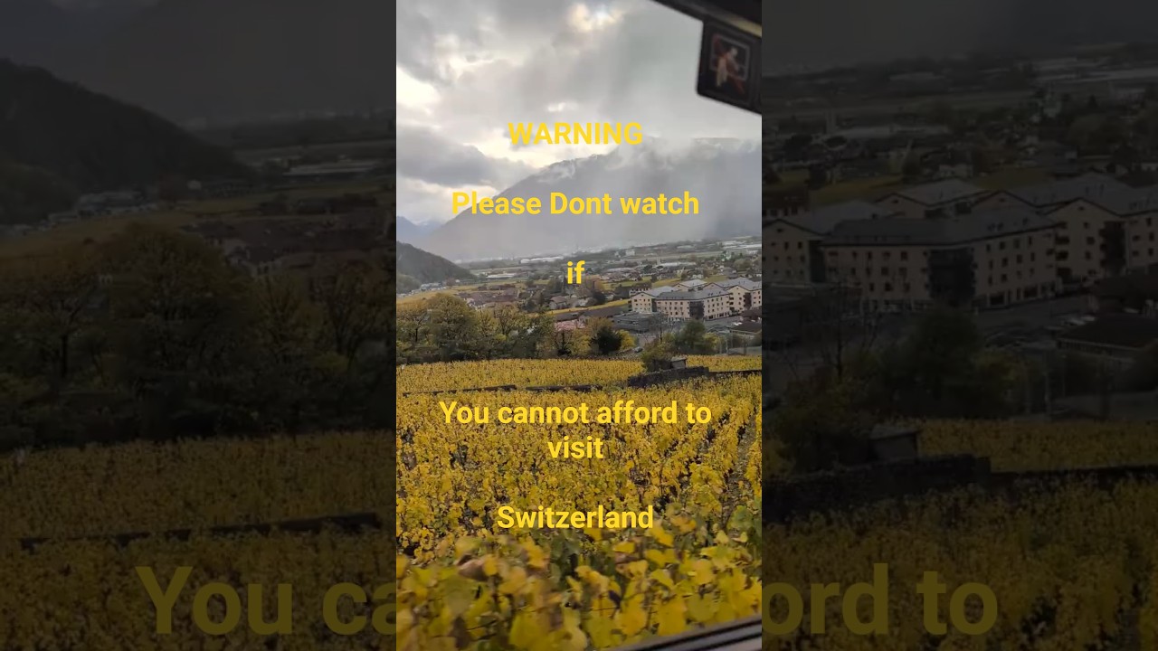 #autumn #switzerland #nature #naturelovers #train #scenery #scenicdrive #relaxing