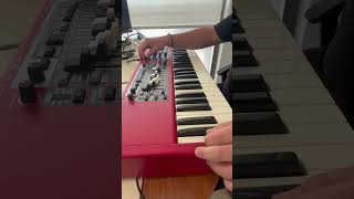 NORD ELECTRO 6D E-T TURKISH SAMPLE PACK