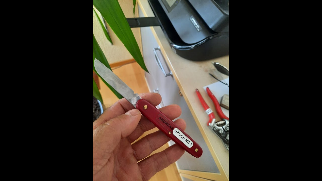 Haselnuss veredeln: Schulungsvideo Basic No 1, Deutsch/ subtitle english