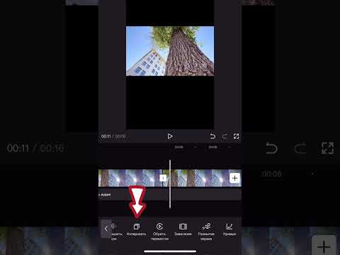 КАК СДЕЛАТЬ ИЗ ГОРИЗОНТАЛЬНОГО ВИДЕО ВЕРТИКАЛЬНОЕ - YouTube