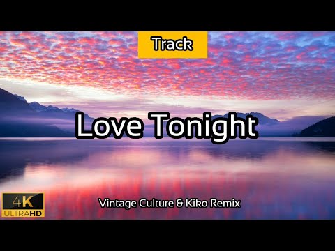 Love Tonight (Vintage Culture & Kiko Franco Remix) - 2021 - 4K