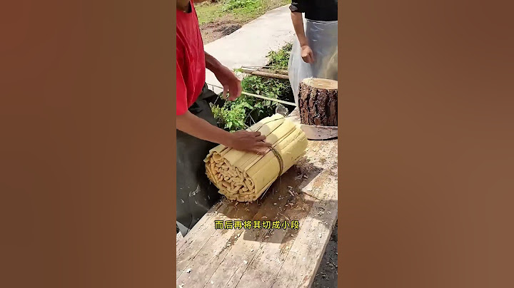 中国四大发明之一的蔡伦造纸术，原材料竟然是竹子#奇异世界 #科普 #科普一下 #科普知识 #科普長知識 #百科密码 #大千世界 #知识渊博 #冷知識 #驚人