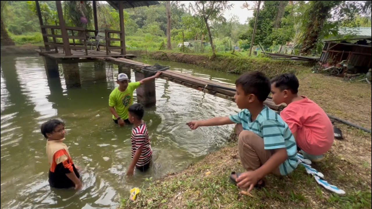 Tetamu datang dari PJ jatuh kolam gaban,dgn phone hilang jatuh kolam 😭