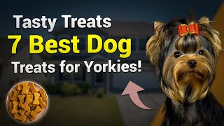 Tasty Treats: 7 Best Dog Treats for Yorkies! 🍖🐶 by PawsPalace 1 view 3 weeks ago 1 minute, 37 seconds