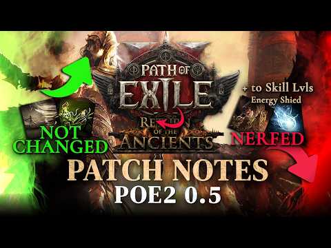 WINNERS & LOSERS of PoE2 0.5