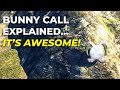 Bunny Call in Star Ocean 2 R: The Game-Changing Ability Explained!