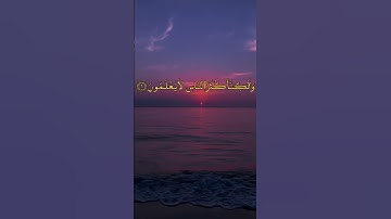 وَيَوْمَئِذٍ يَفْرَحُ الْمُؤْمِنُونَ بِنَصْرِ اللَّهِ﴾ - بصوت عذب القارئ صلاح المصلي | سورة الروم