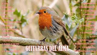 GUITARRAS DEL ALMA -  BELLISIMAS MELODIAS