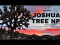 Joshua Tree NP | Black Rock Campground #rvlife