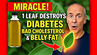 MIRACLE! 1 Leaf DESTROYS Diabetes, Bad Cholesterol & Belly Fat!