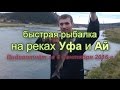 быстрая рыбалка на реках Уфа и Ай. видеоотчёт за 06/09/2016