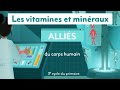 Ref:frxzpJF2IDE Les vitamines et min�raux : alli�s du corps humain (3e cycle)