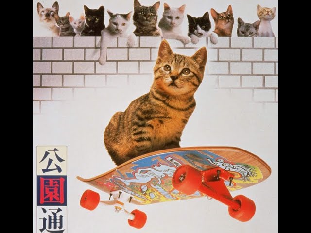 We Love Cats
