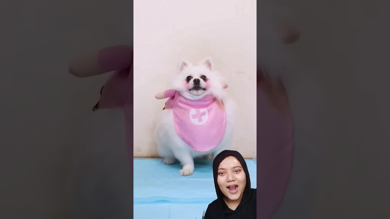 Nico: Relien the crisis!