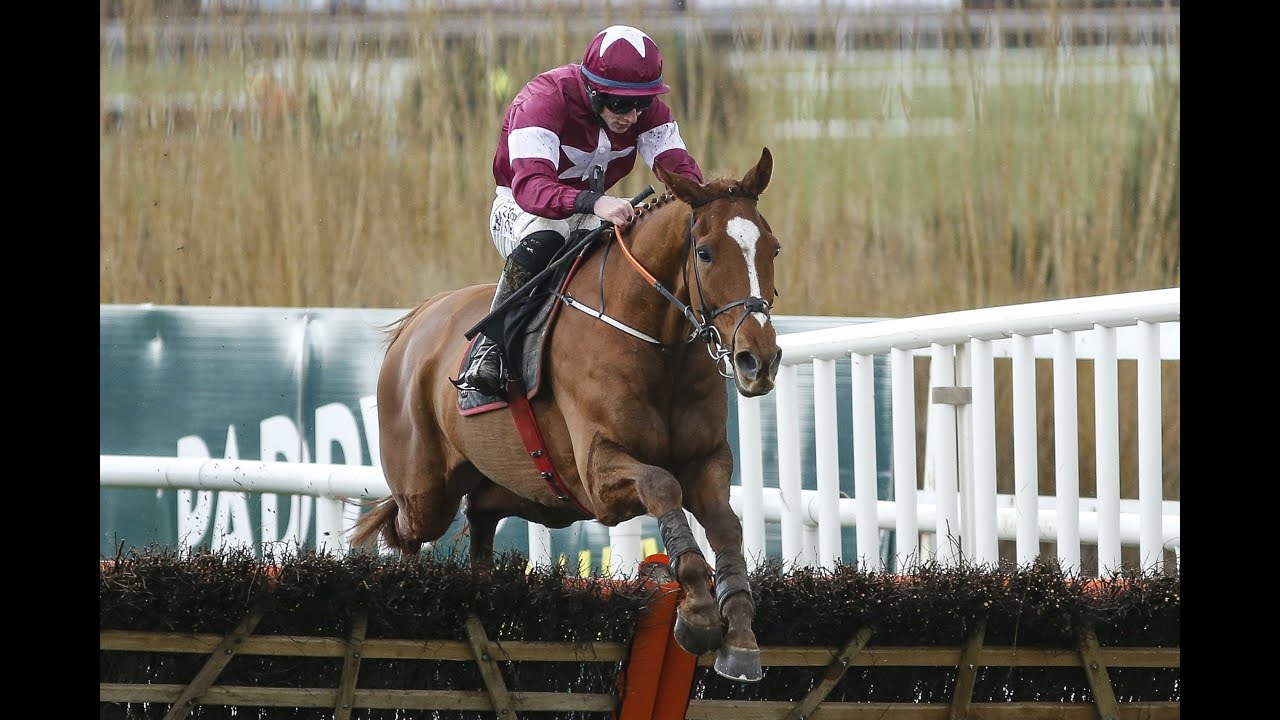 Samcro - Deloitte Novice Hurdle, Leopardstown (Dublin Racing Festival)
